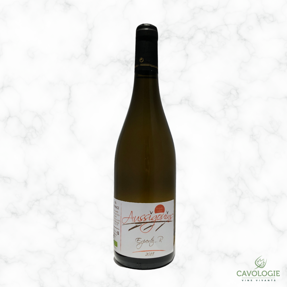 Experto ...R 2018 - 2018 - 0,75L - Dominique Dufour - Les Aussigouins
