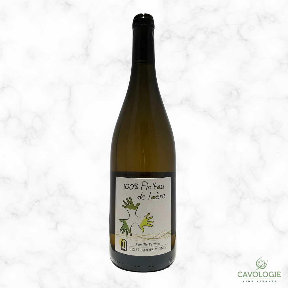 Pin'eau de Loere - 0,75L - 2022 - Famille Vaillant - Les Grandes Vignes