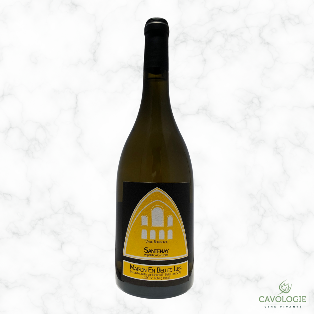 Santenay Blanc - 2020 - 0,75L - Maison En Belles Lies
