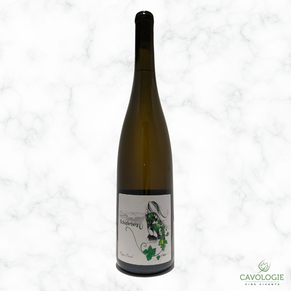 Riesling Schiefferberg Sagesse - 2020 - 0,75L - Regis Bard