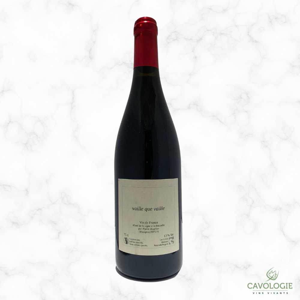 Vaille Que Vaille - 2020 - 0,75L - Pierre Bourlier
