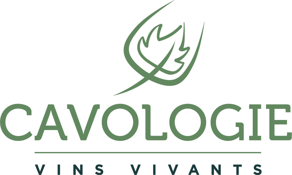 Cavologie