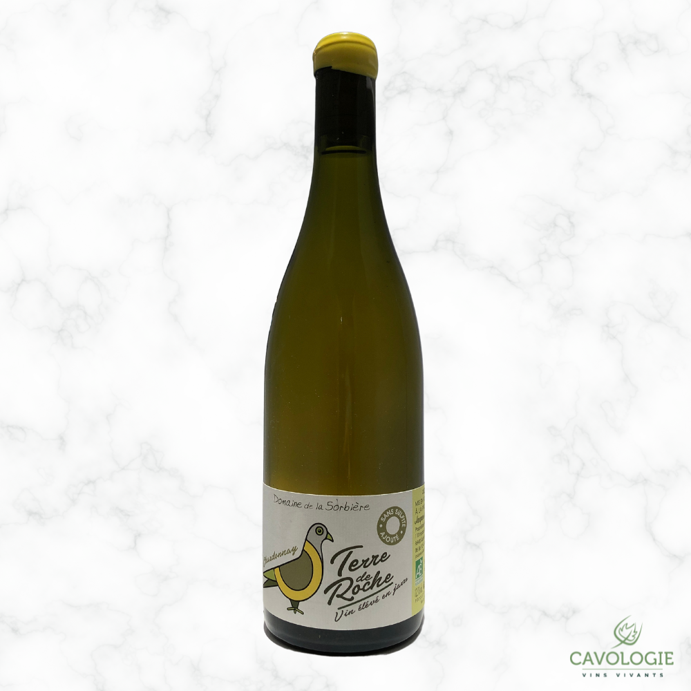 Chardonnay - 2021 - Jacques Juillard