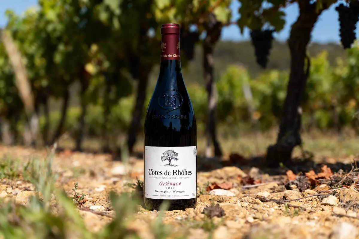 Bouteille de vin rouge Côtes de Rhône devant vignoble ensoleillé, sol caillouteux, arrière-plan flou.