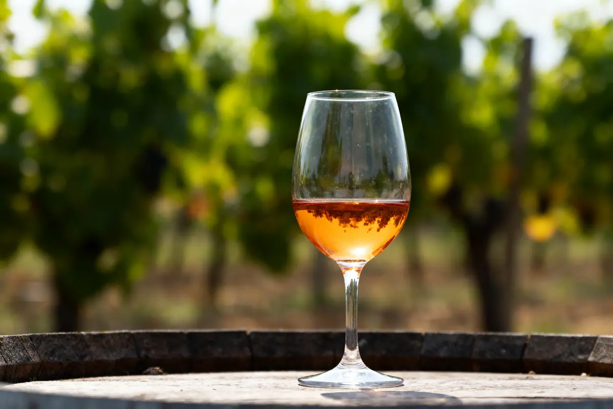 Vin orange : Qu’est-ce que c’est et comment le déguster ?