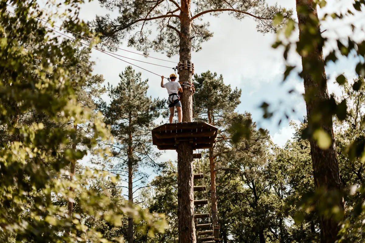 Accrobranche Verzy : Découvrez Perching Adventure et Parc Arboxygène