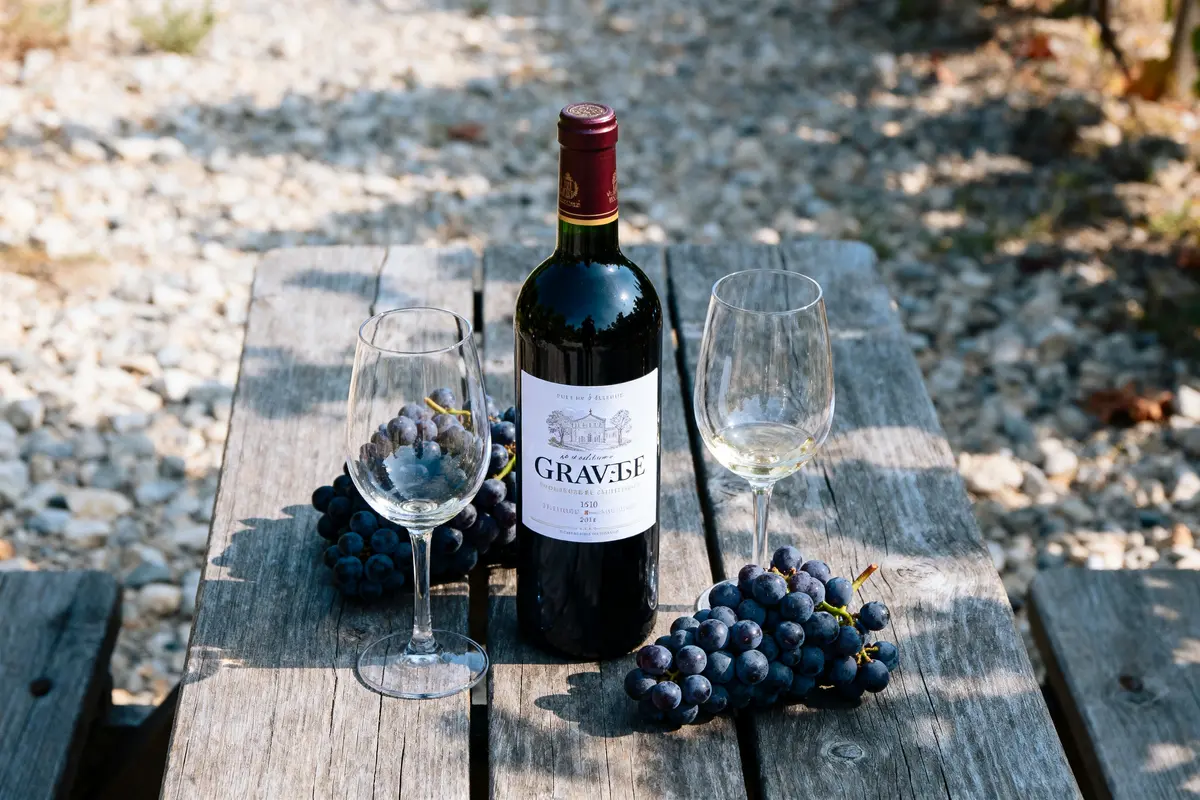 Vin de Graves : Découvrez les meilleurs vins de Bordeaux !