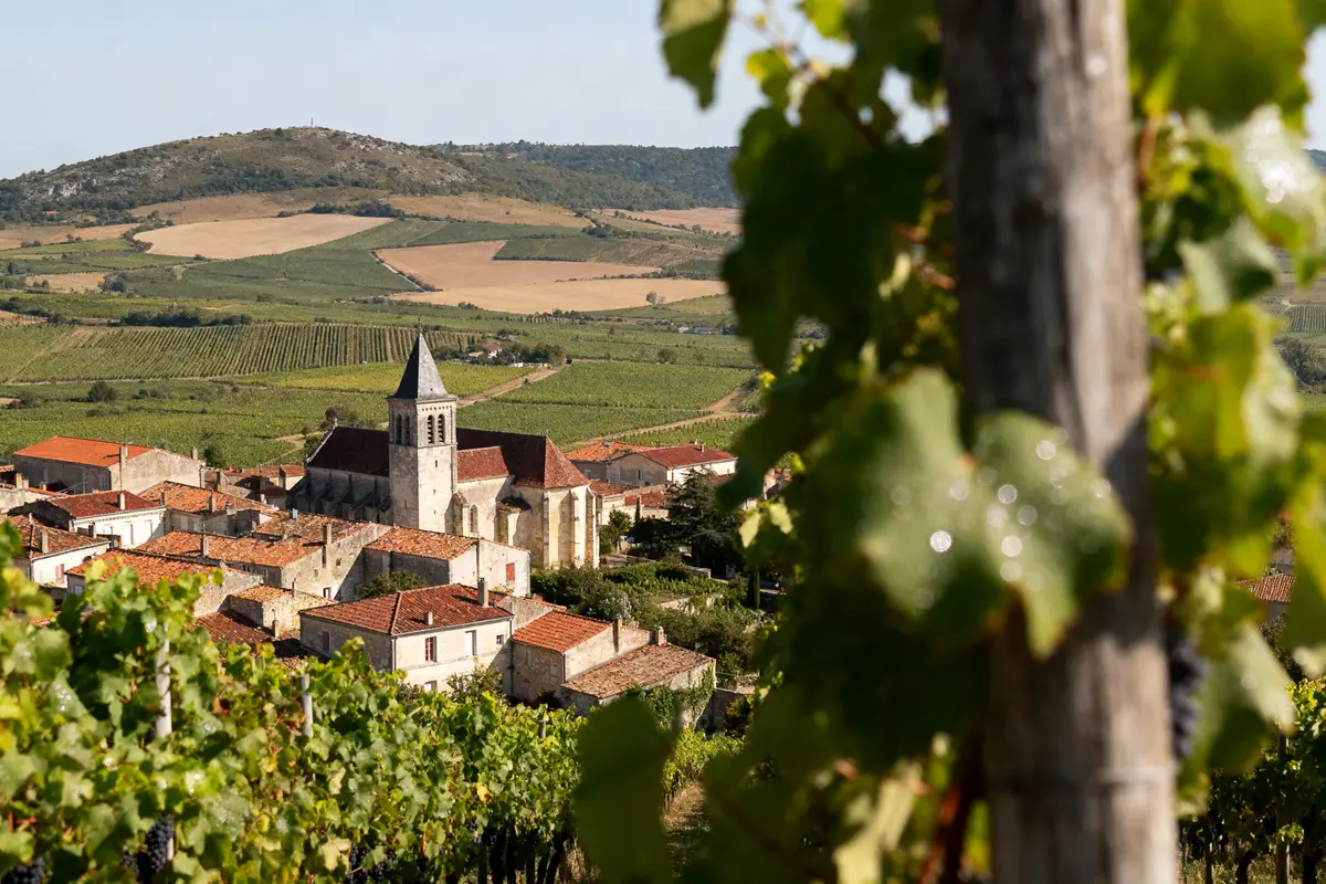 Fronsac : Découvrez la commune et ses vins