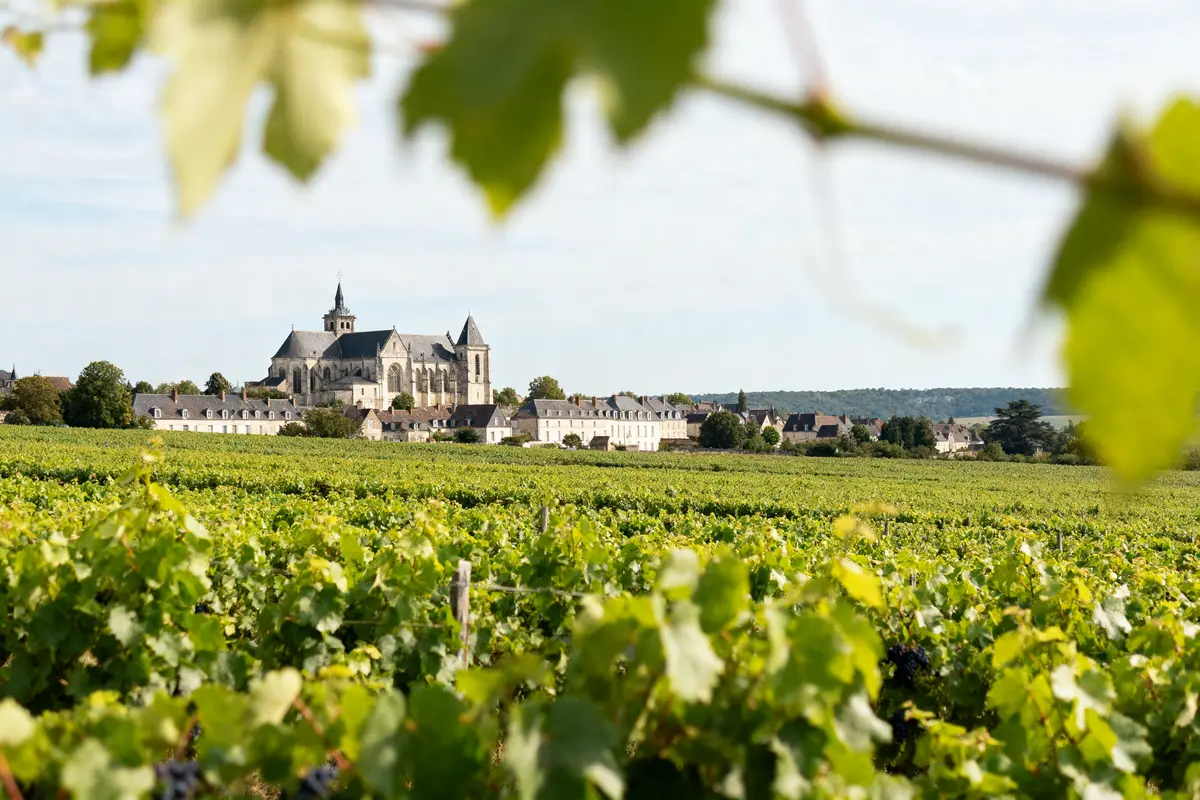Vouvray : Découvrez l’art des vins et des attractions locales